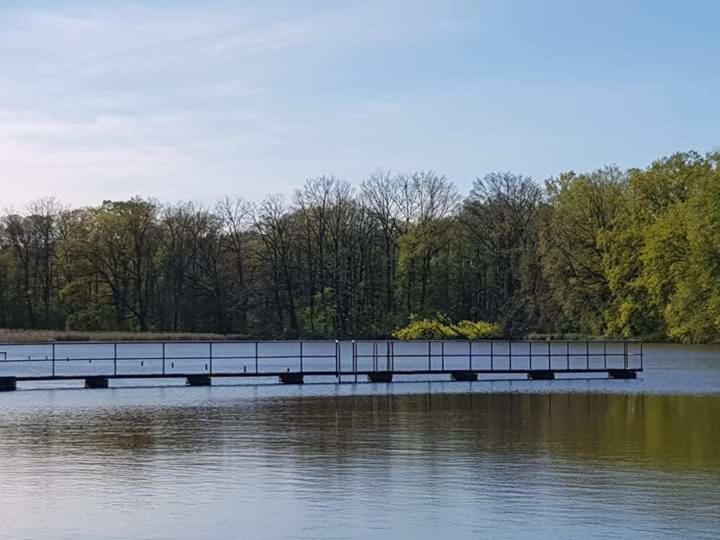 Pension Waldbad Dommitzsch Exteriér fotografie