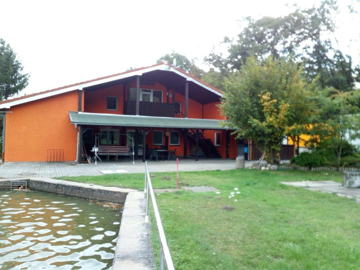 Pension Waldbad Dommitzsch Exteriér fotografie